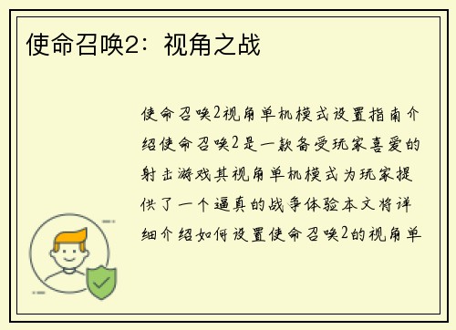 使命召唤2：视角之战
